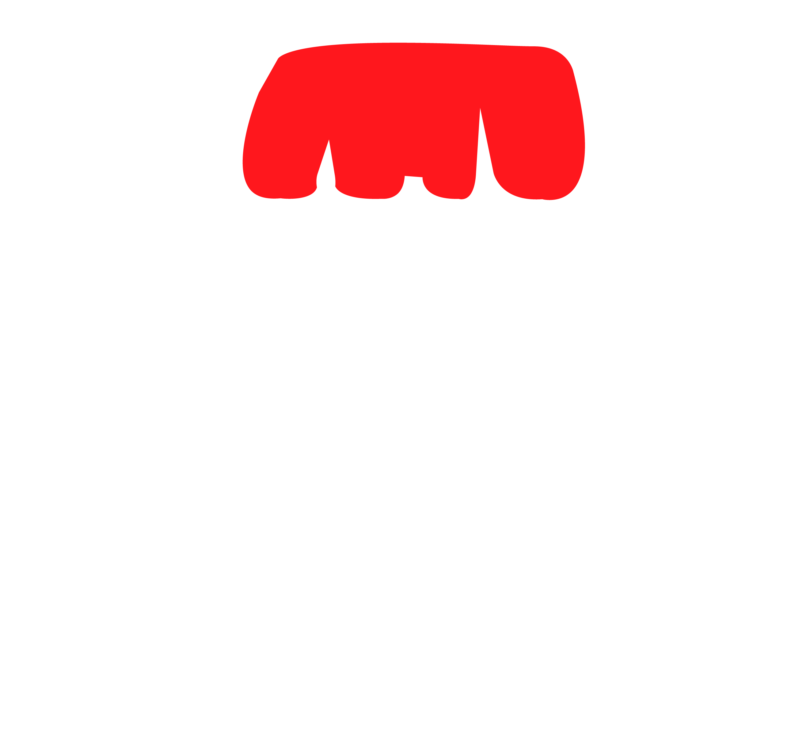 Logotipo Ponypon Blanco