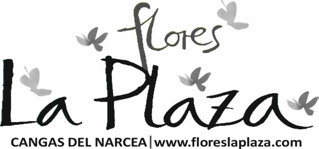 Flores La Plaza