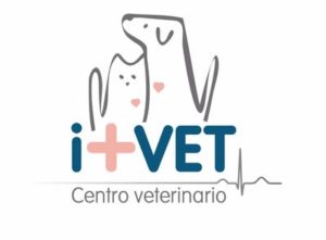 Clínica i+vet