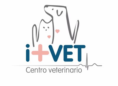 Clínica i+vet